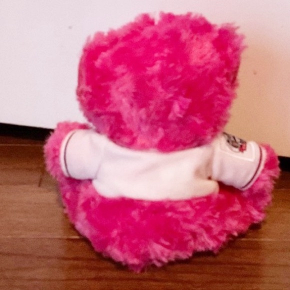 Hot Pink Atlanta Braves Teddy Bear - Picture 3 of 3
